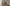 Video alt text