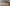 Video alt text
